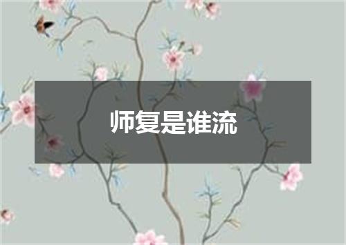 师复是谁流