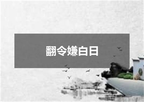 翻令嫌白日