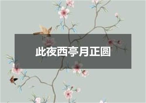 此夜西亭月正圆