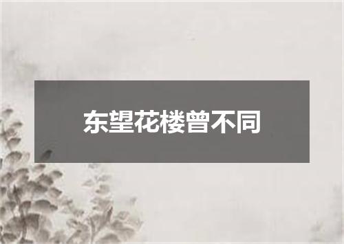 东望花楼曾不同