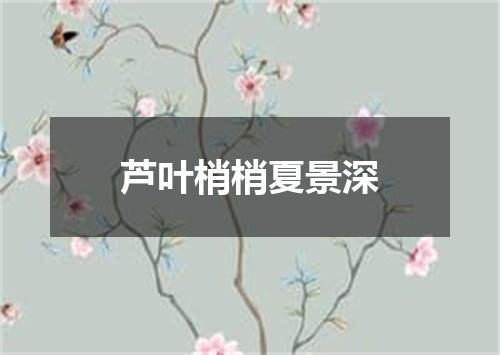 芦叶梢梢夏景深