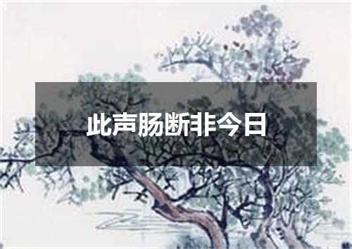 此声肠断非今日