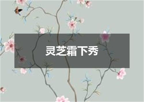 灵芝霜下秀