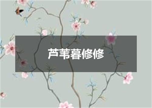 芦苇暮修修