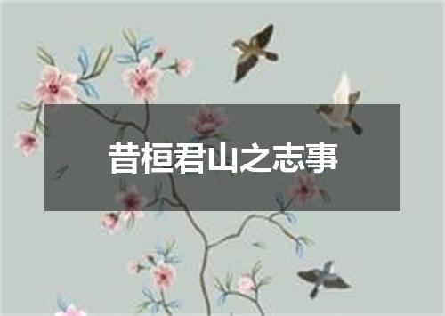 昔桓君山之志事