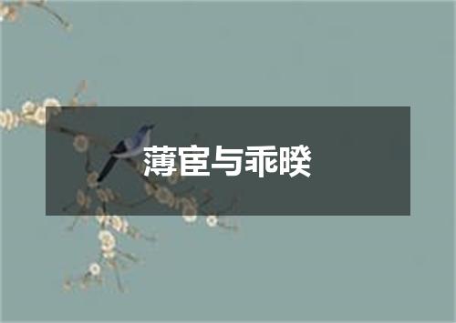 薄宦与乖暌