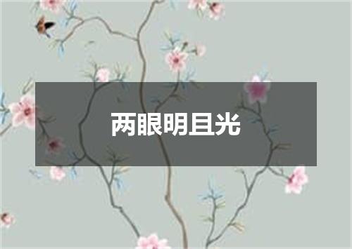 两眼明且光