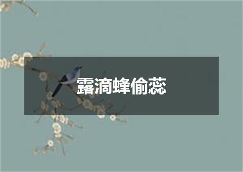 露滴蜂偷蕊