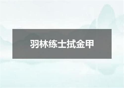 羽林练士拭金甲