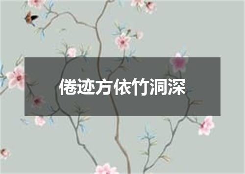 倦迹方依竹洞深