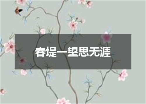 春堤一望思无涯