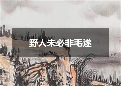 野人未必非毛遂