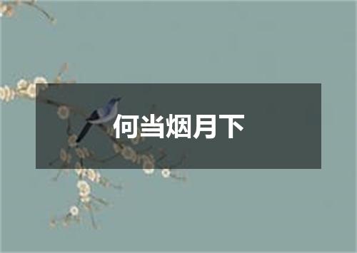 何当烟月下