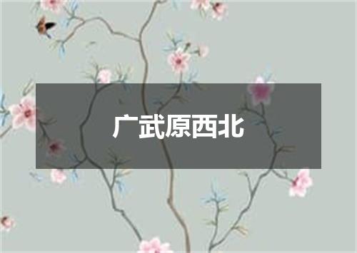 广武原西北