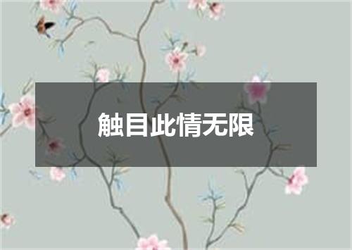 触目此情无限