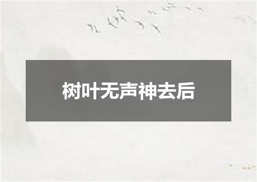 树叶无声神去后