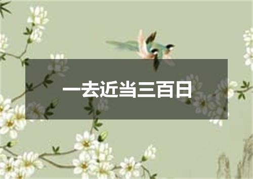 一去近当三百日