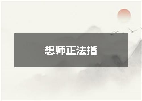 想师正法指