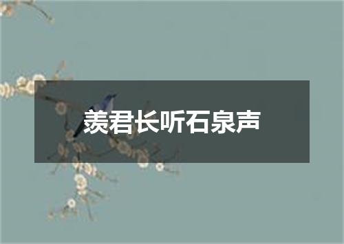 羡君长听石泉声