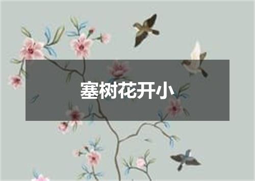 塞树花开小