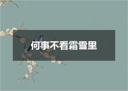 何事不看霜雪里