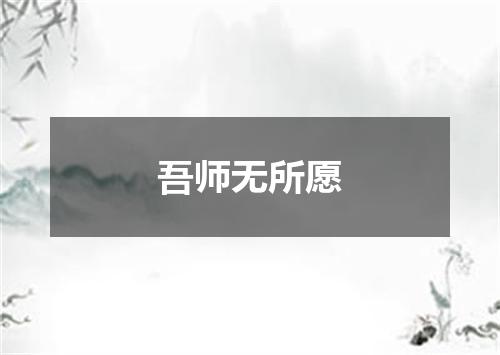 吾师无所愿