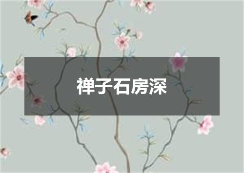 禅子石房深