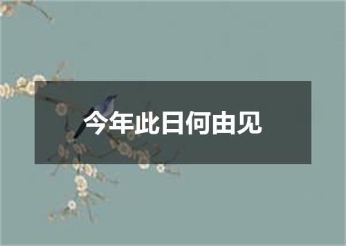 今年此日何由见