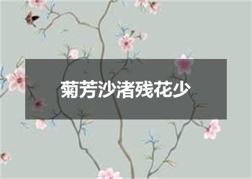 菊芳沙渚残花少