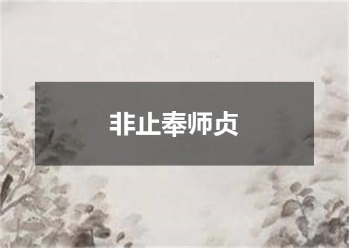 非止奉师贞