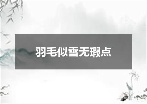 羽毛似雪无瑕点