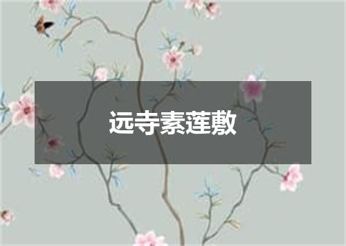 远寺素莲敷