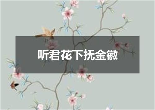 听君花下抚金徽