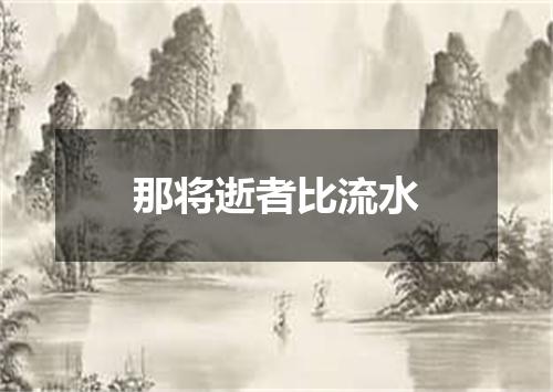 那将逝者比流水