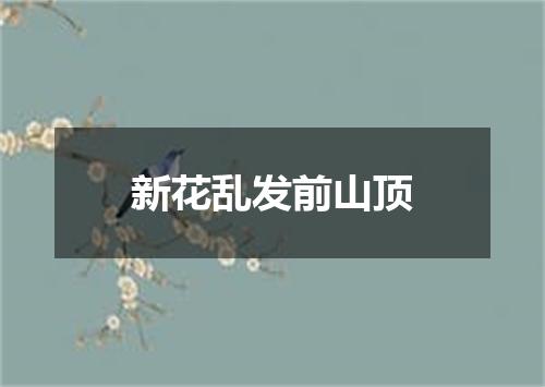 新花乱发前山顶