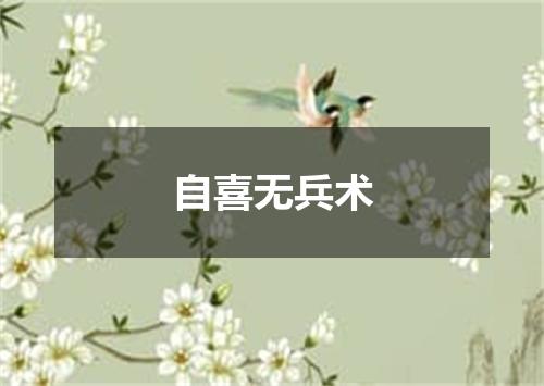 自喜无兵术