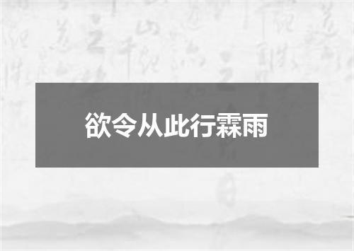 欲令从此行霖雨