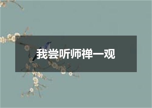 我尝听师禅一观