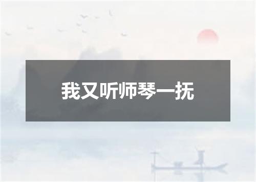 我又听师琴一抚