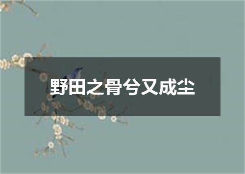 野田之骨兮又成尘