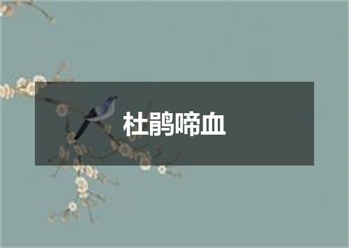 杜鹃啼血