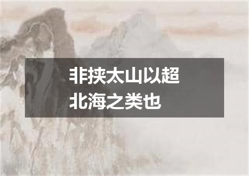 非挟太山以超北海之类也