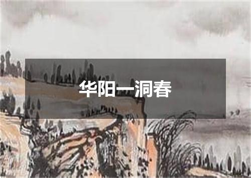 华阳一洞春