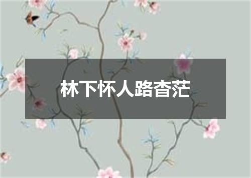 林下怀人路杳茫