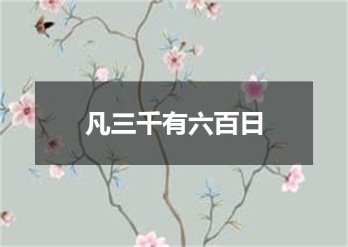 凡三千有六百日