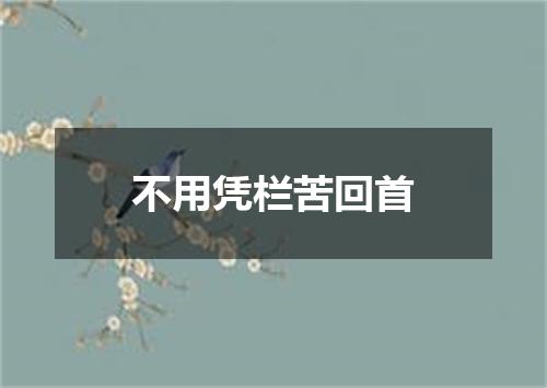 不用凭栏苦回首