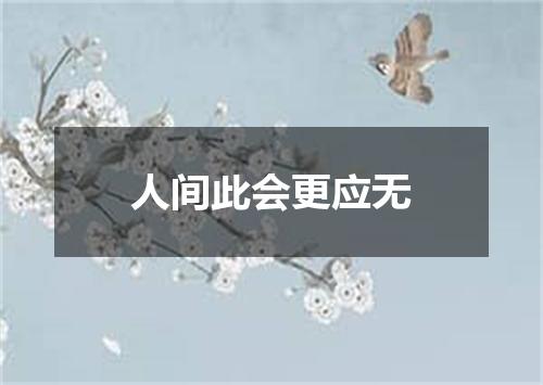 人间此会更应无