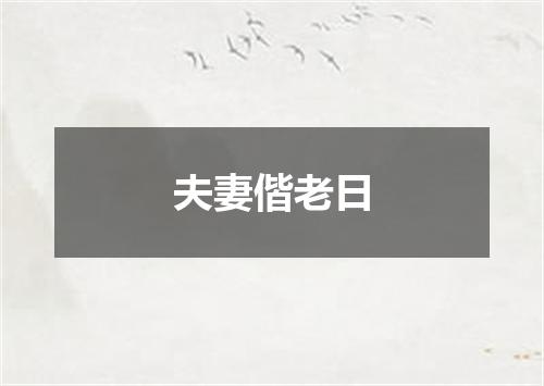 夫妻偕老日