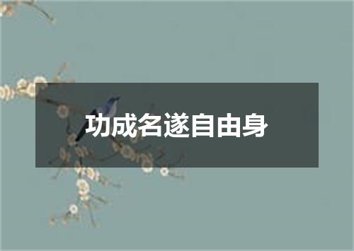 功成名遂自由身