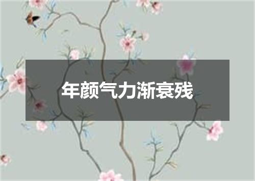 年颜气力渐衰残